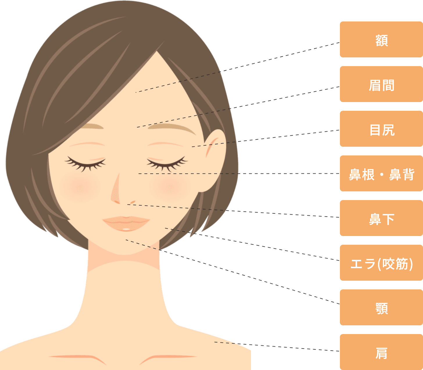 額、眉間、目尻、鼻根・鼻背、鼻下、エラ(咬筋)、顎、肩