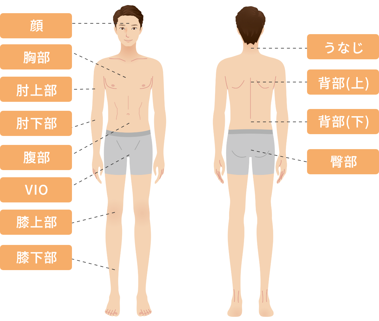 男性：顔、うなじ、胸部、肘上部、背部(上)、肘下部、腹部、VIO、背部(下)、膝上部、臀部、膝下部
